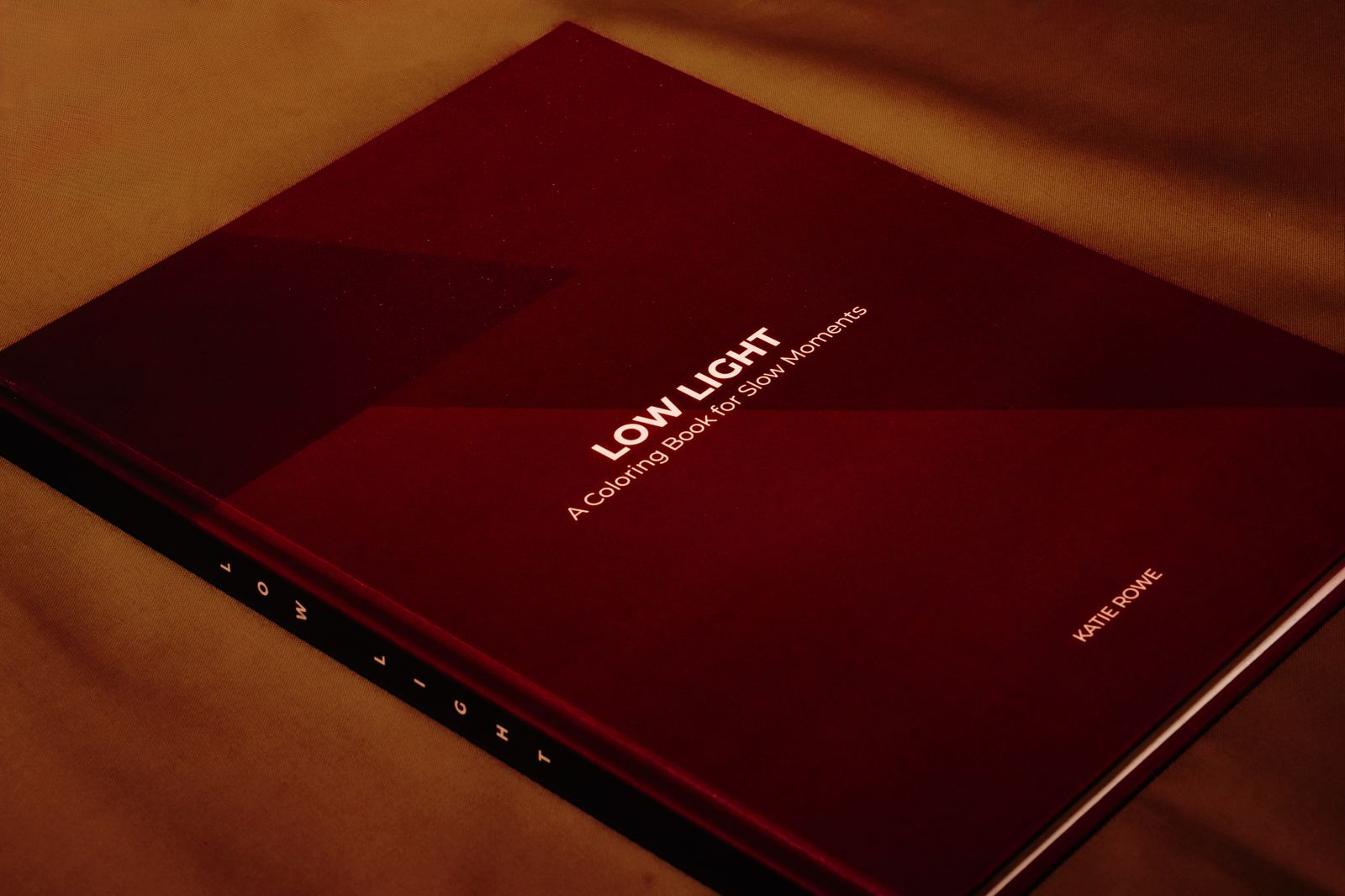 Low Light book cover detail